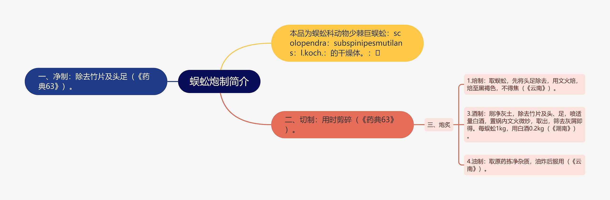 蜈蚣炮制简介思维导图