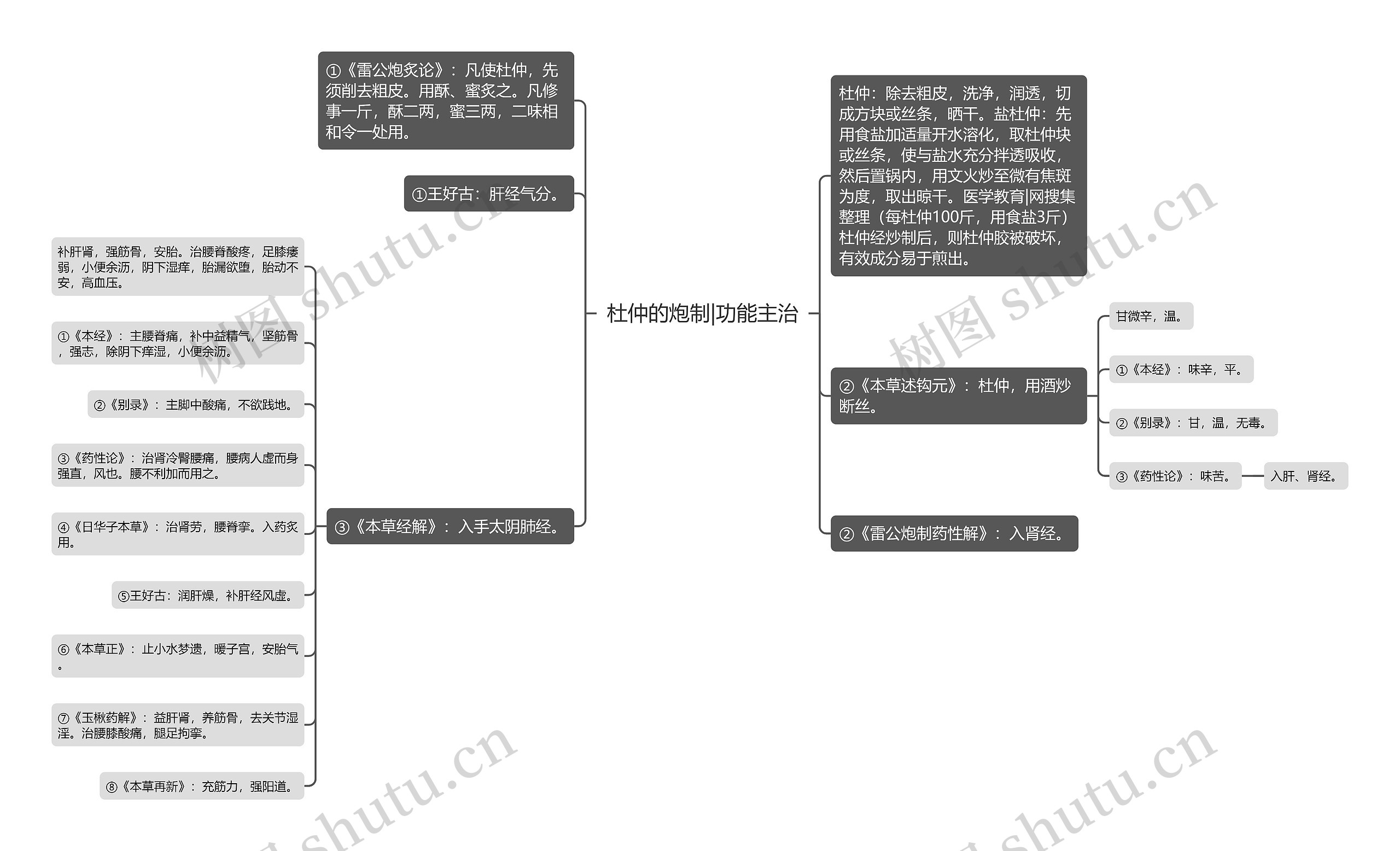 杜仲的炮制|功能主治思维导图