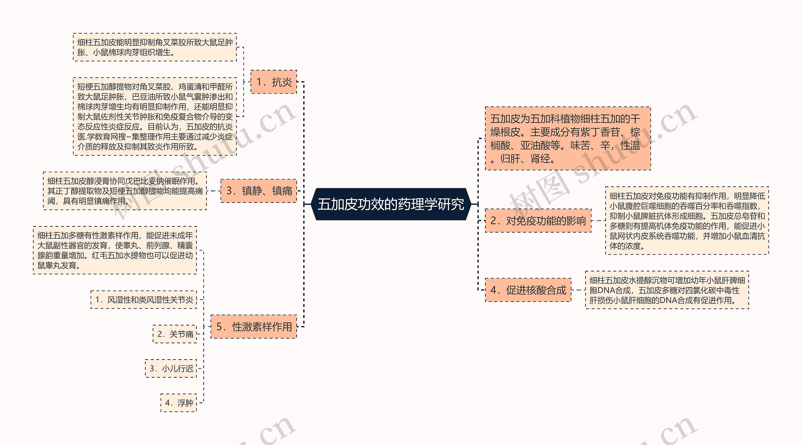 五加皮功效的药理学研究