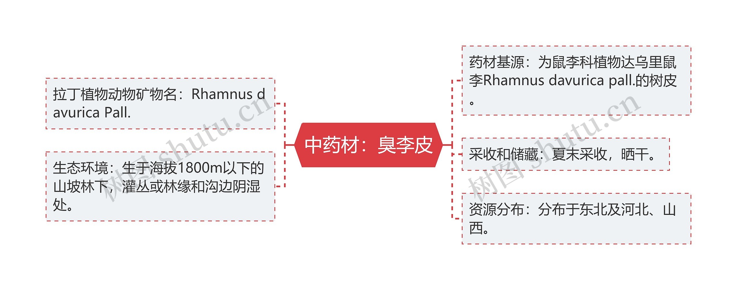 中药材：臭李皮思维导图