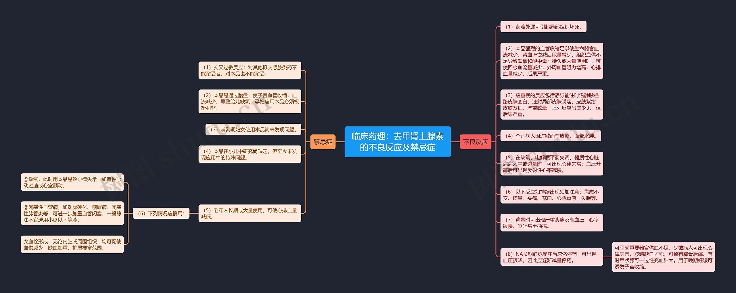 临床药理：去甲肾上腺素的不良反应及禁忌症思维导图