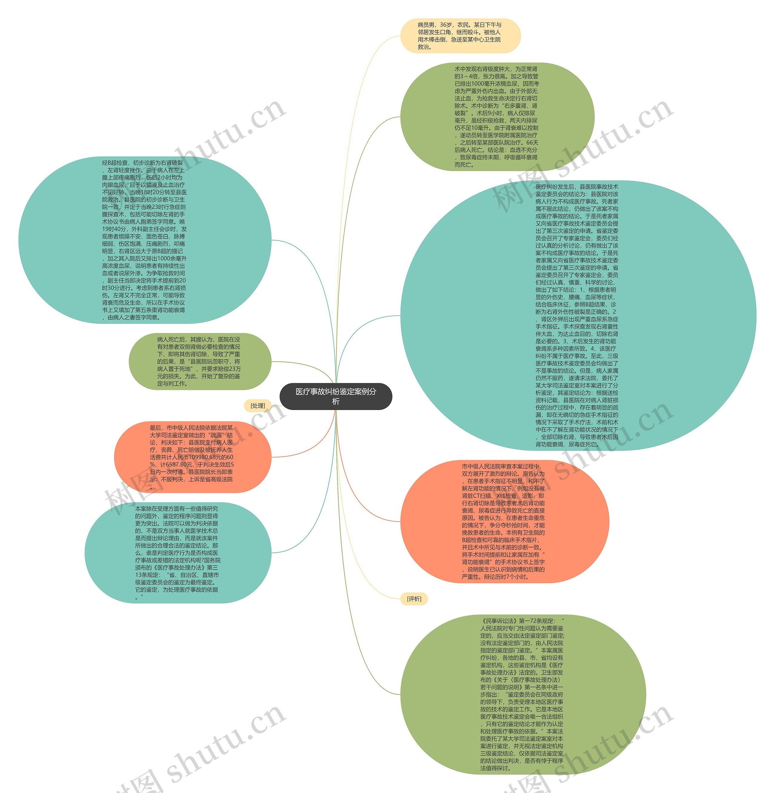 医疗事故纠纷鉴定案例分析思维导图高清图 医疗事故纠纷鉴定案例分析思维导图