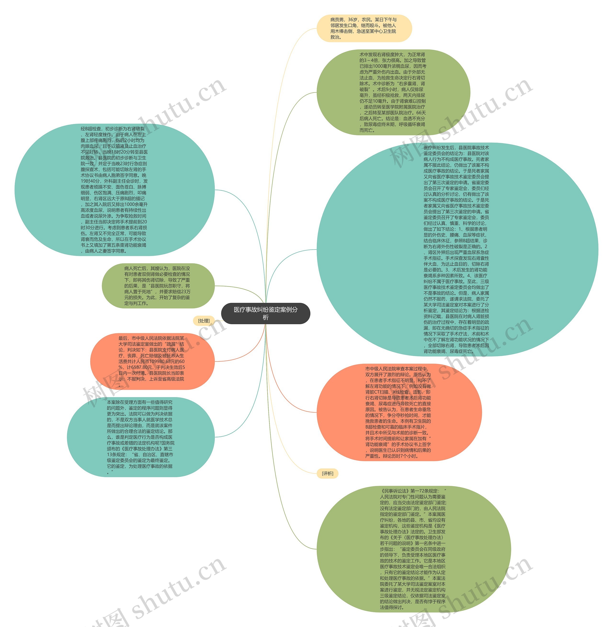 医疗事故纠纷鉴定案例分析思维导图