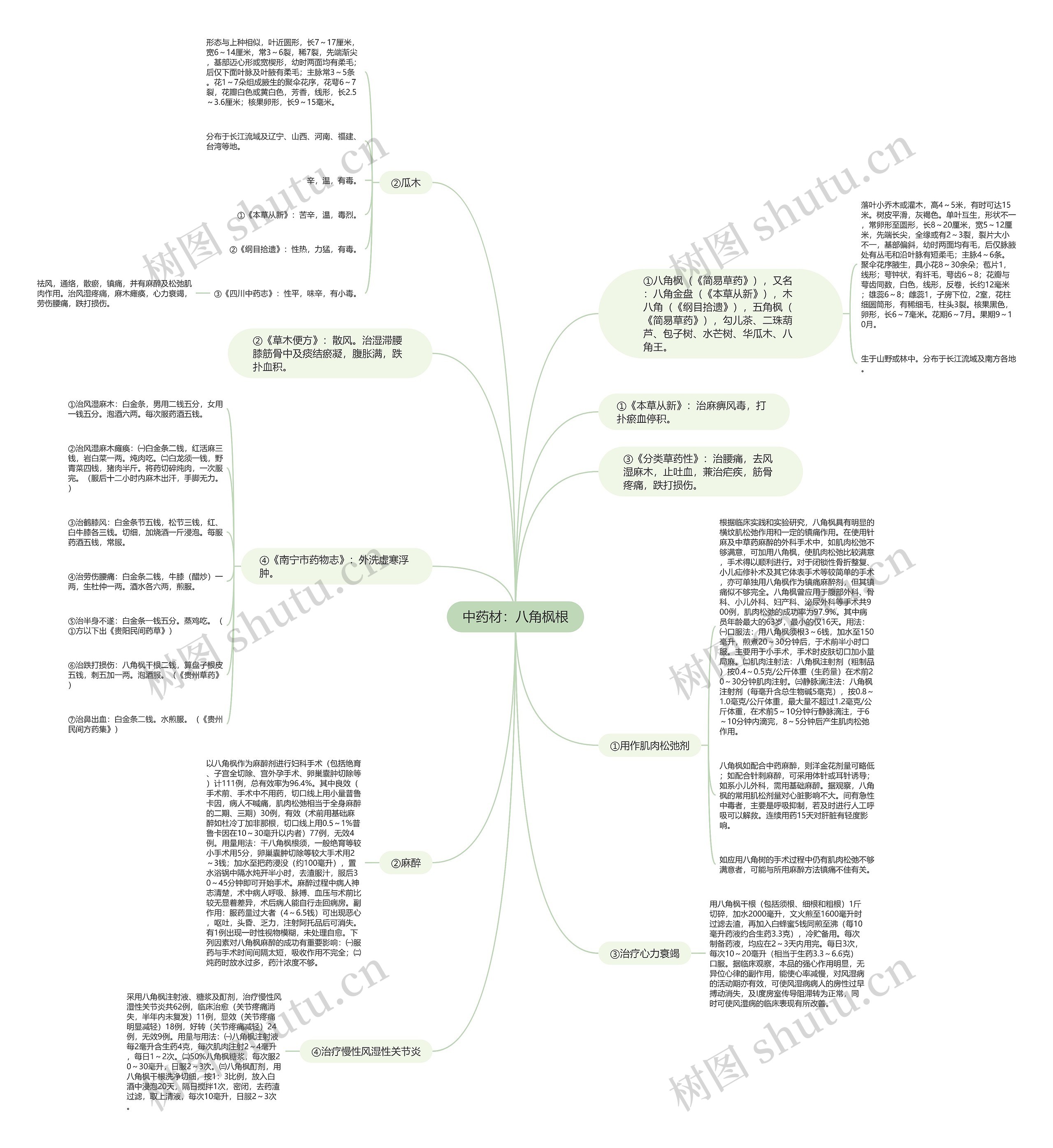 中药材：八角枫根思维导图