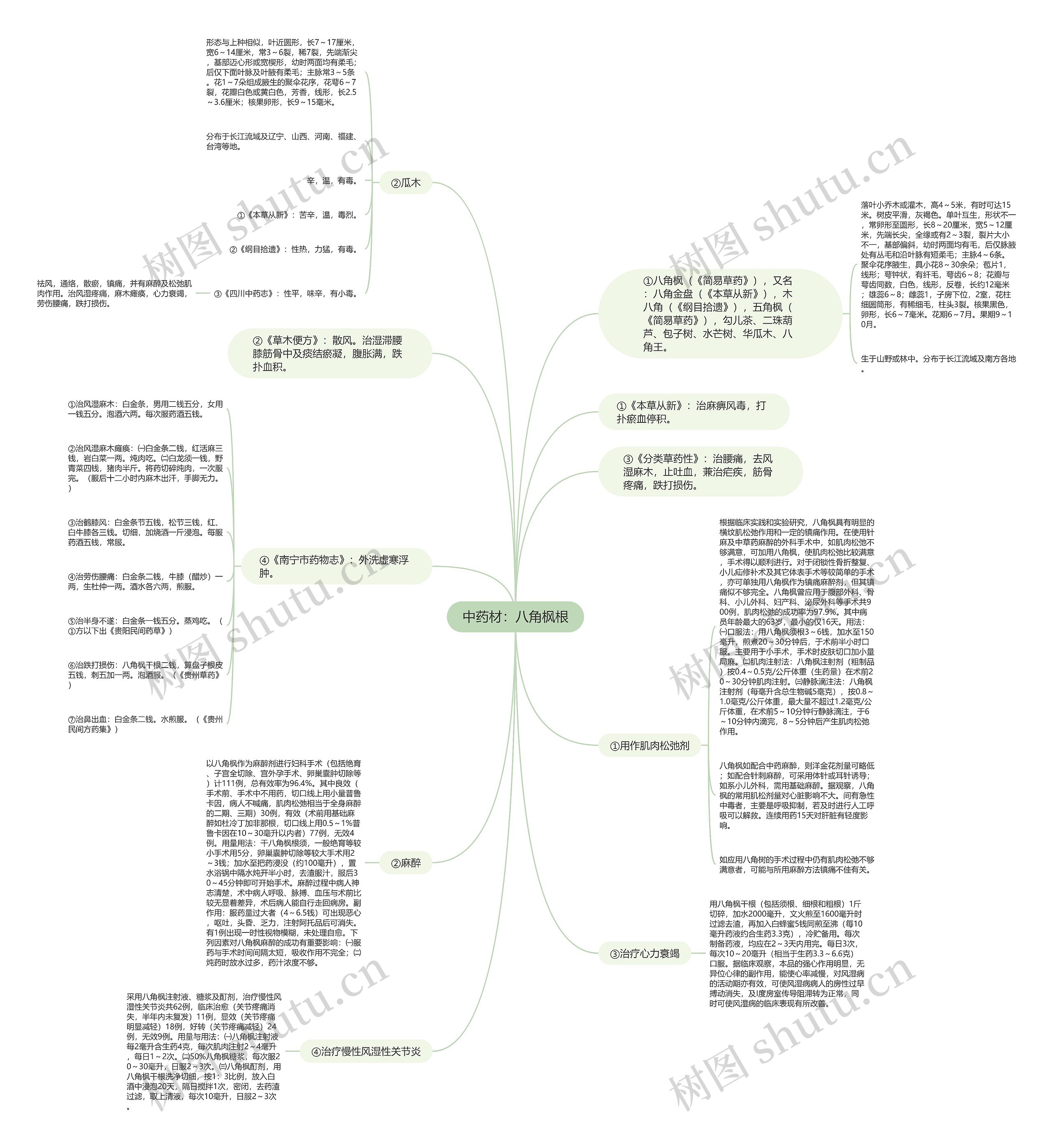 中药材:八角枫根 中药材:八角枫根