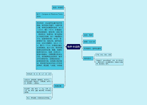 龟甲-补益药