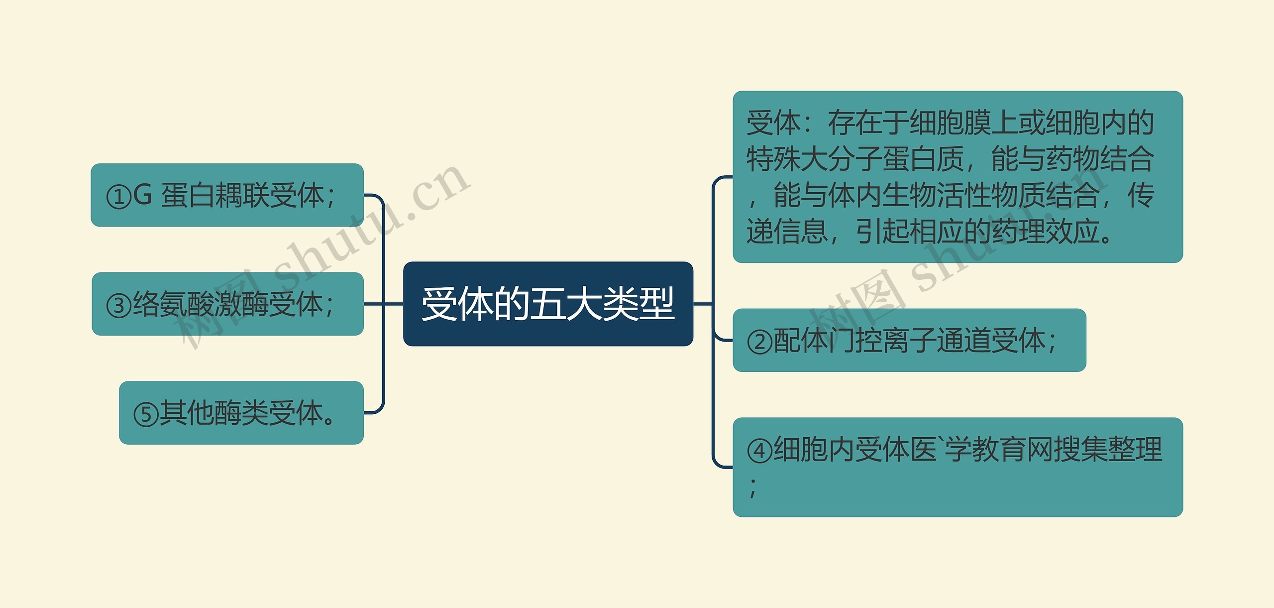 受体的五大类型思维导图