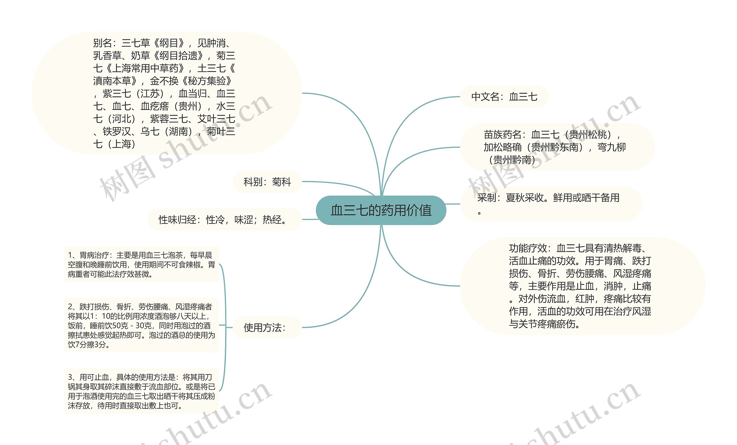 血三七的药用价值思维导图