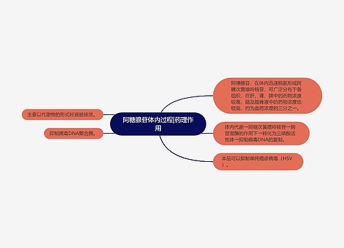 阿糖腺苷体内过程|药理作用