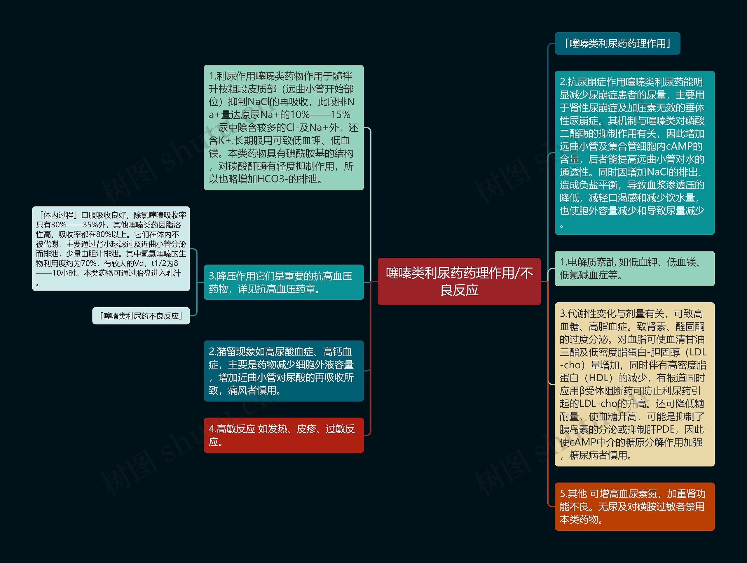 噻嗪类利尿药药理作用/不良反应