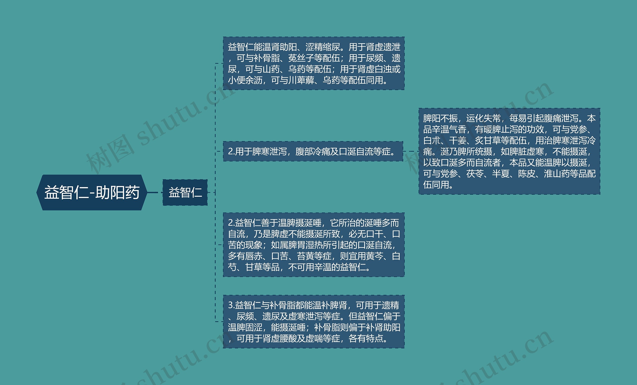 益智仁-助阳药思维导图