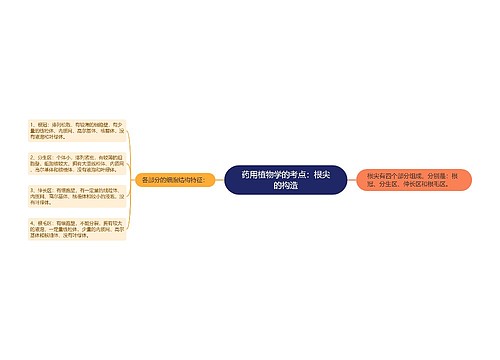 药用植物学的考点：根尖的构造