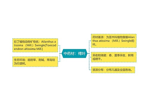 中药材：樗叶