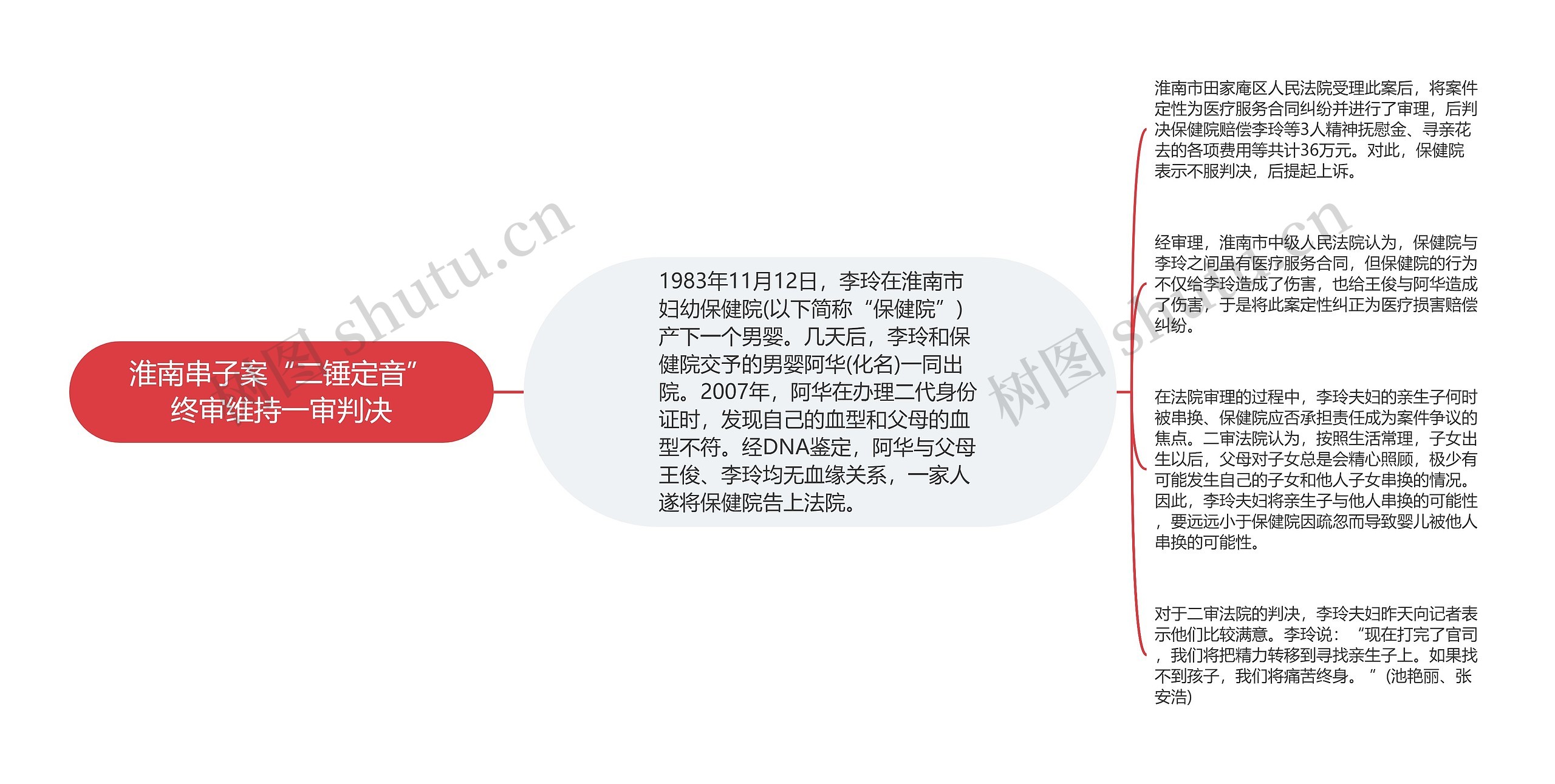 淮南串子案“二锤定音”终审维持一审判决思维导图