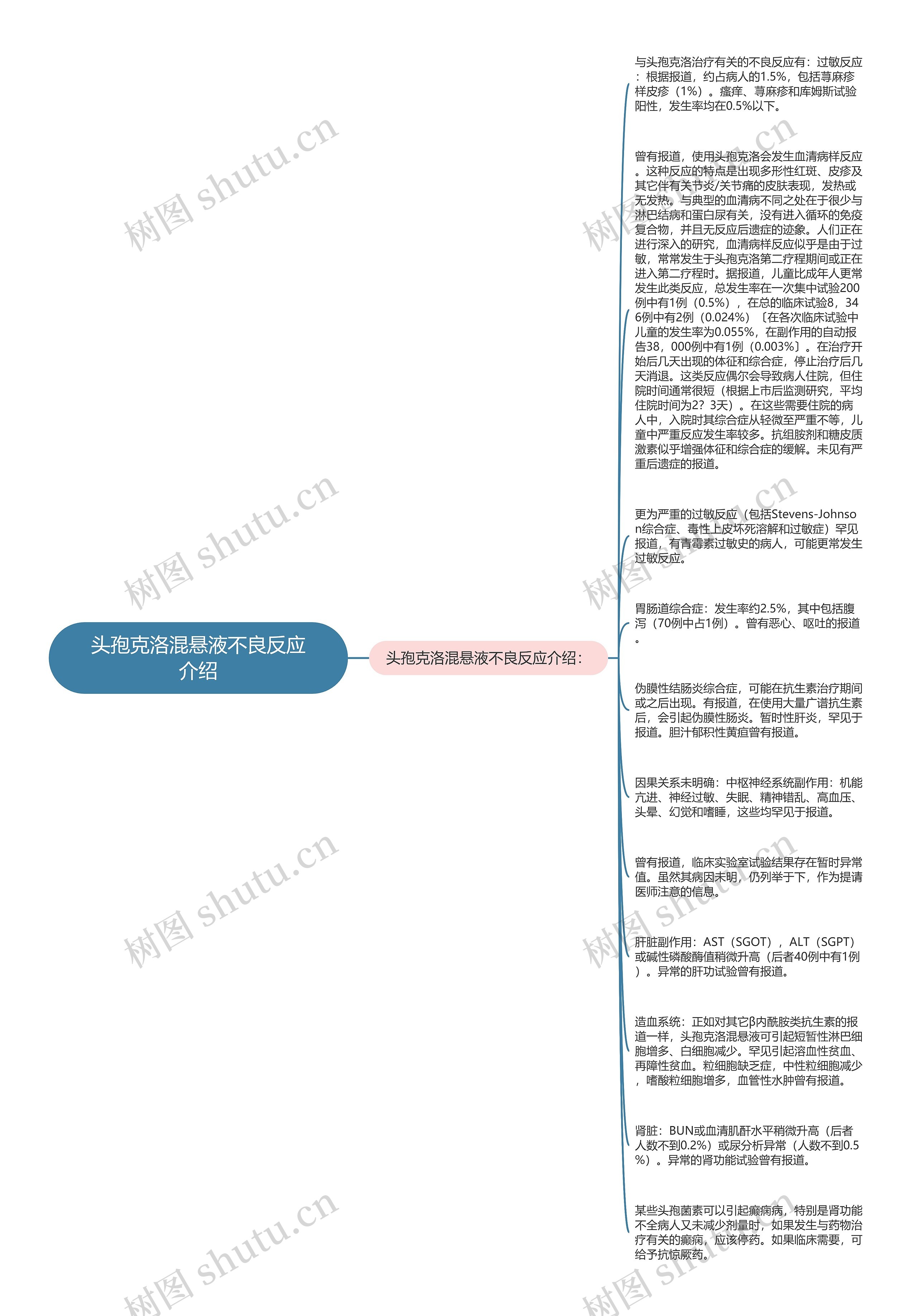 头孢克洛混悬液不良反应介绍思维导图