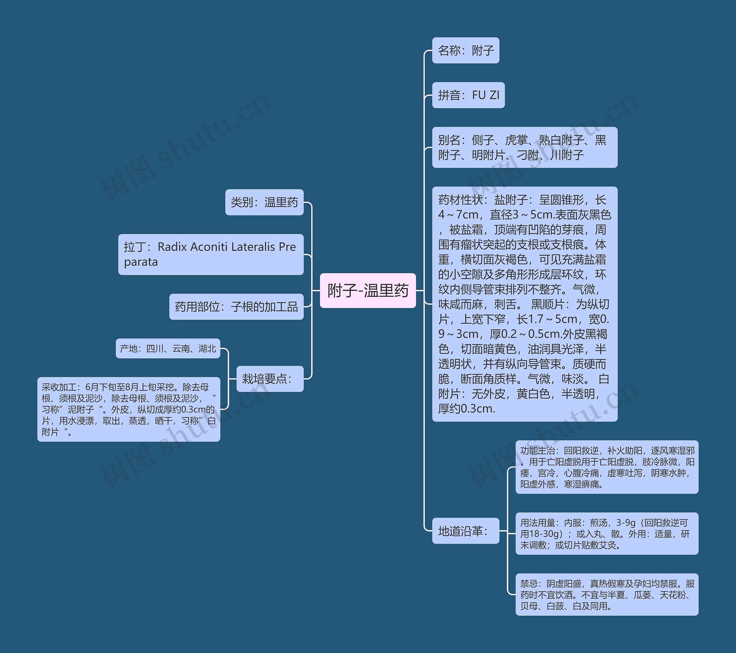 附子-温里药思维导图