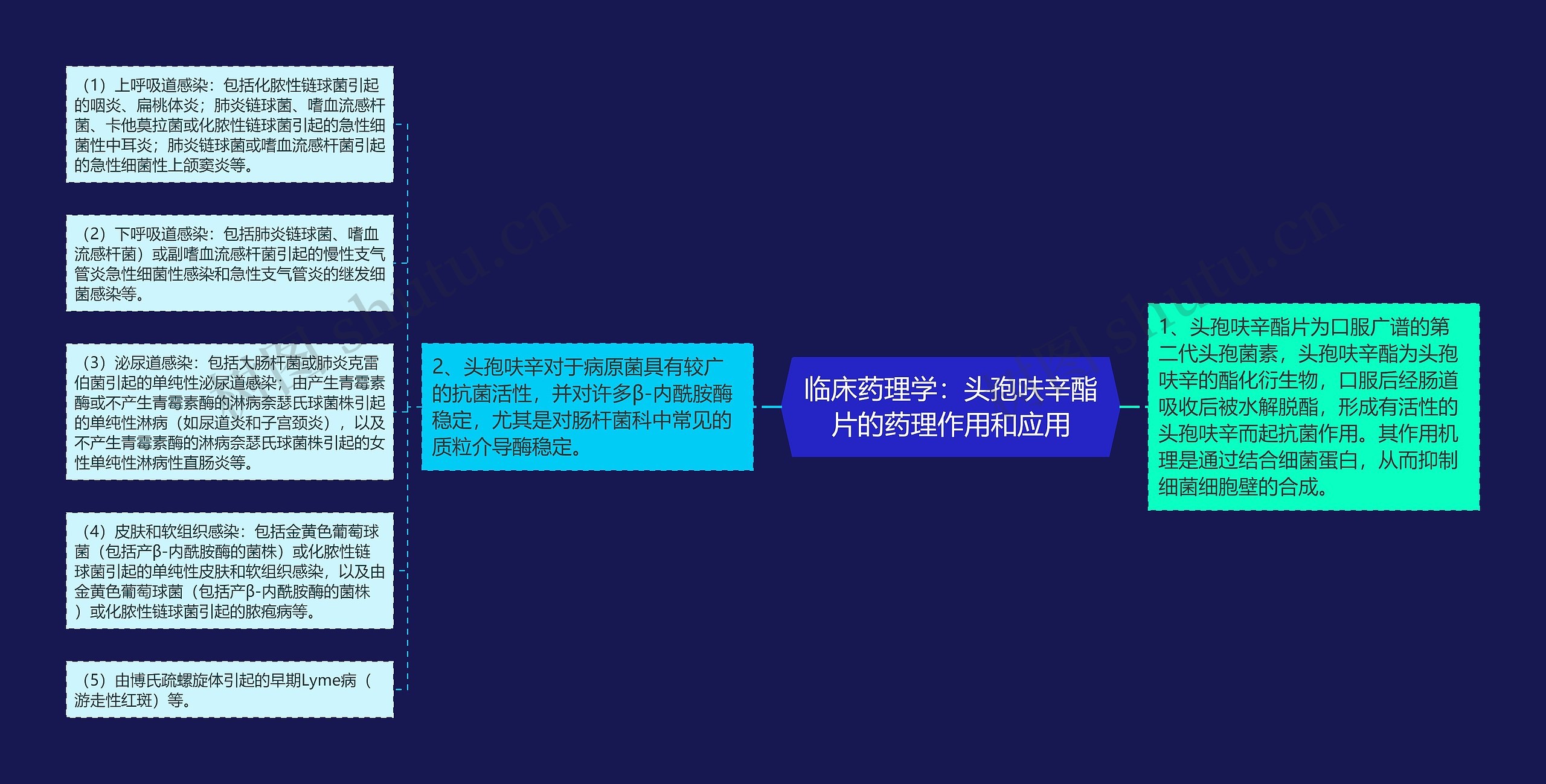 临床药理学：头孢呋辛酯片的药理作用和应用