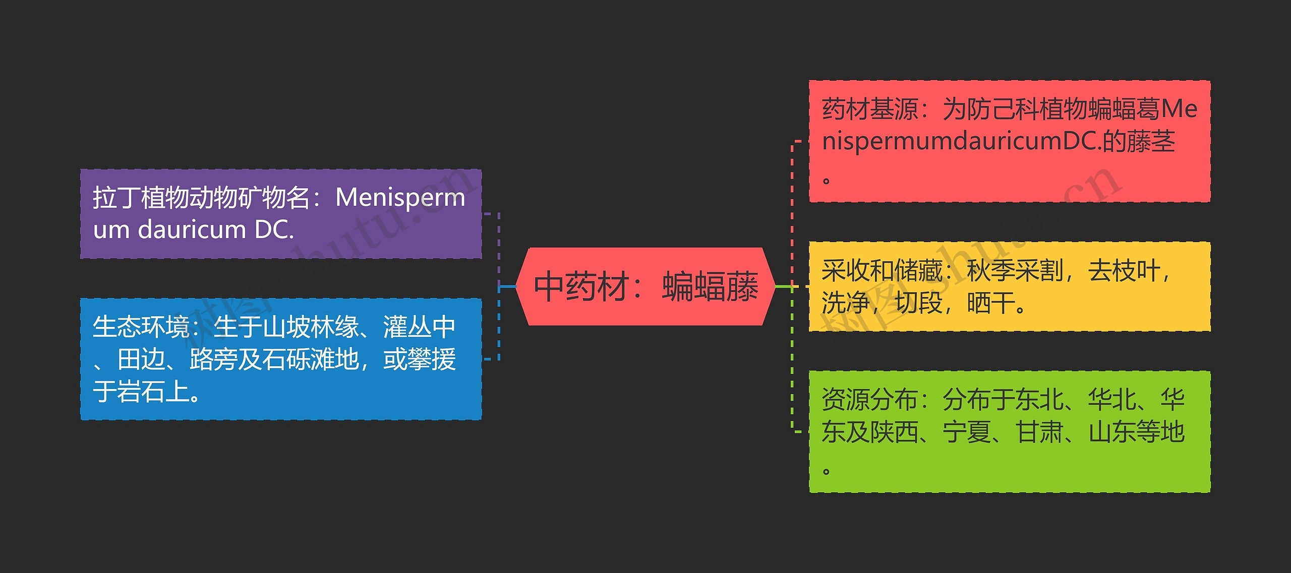 中药材：蝙蝠藤思维导图