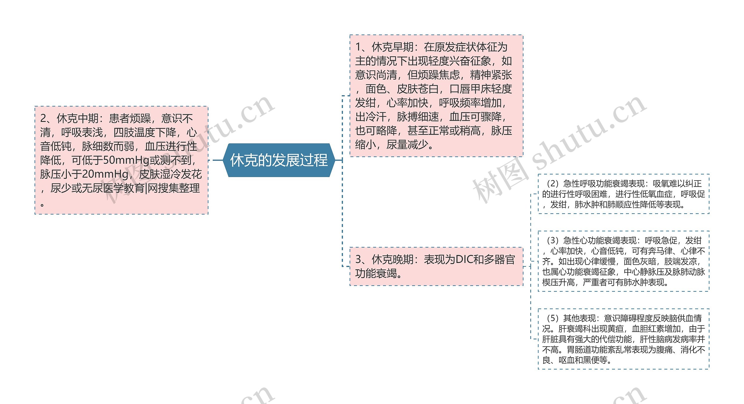 休克的发展过程