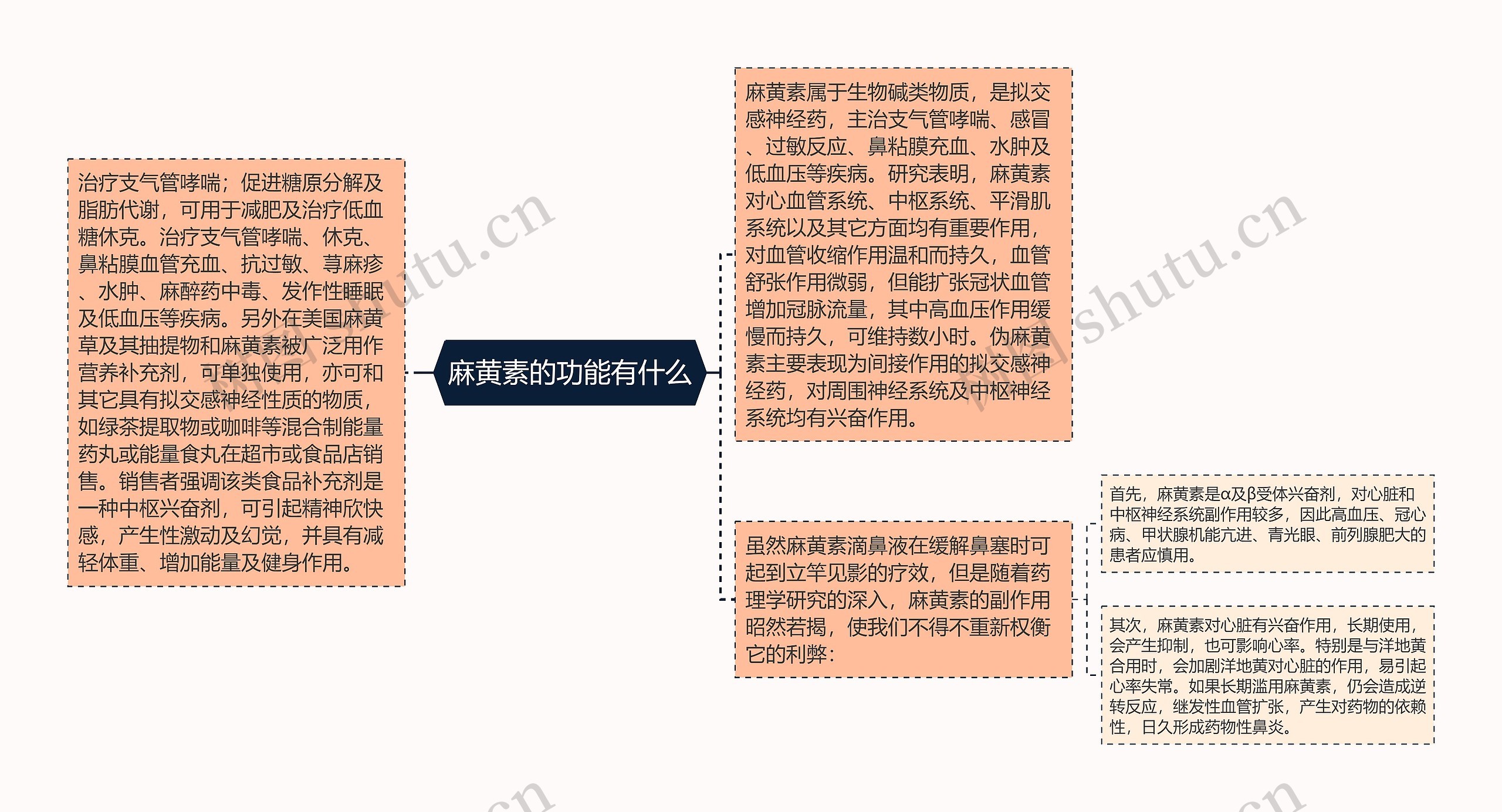 麻黄素的功能有什么思维导图