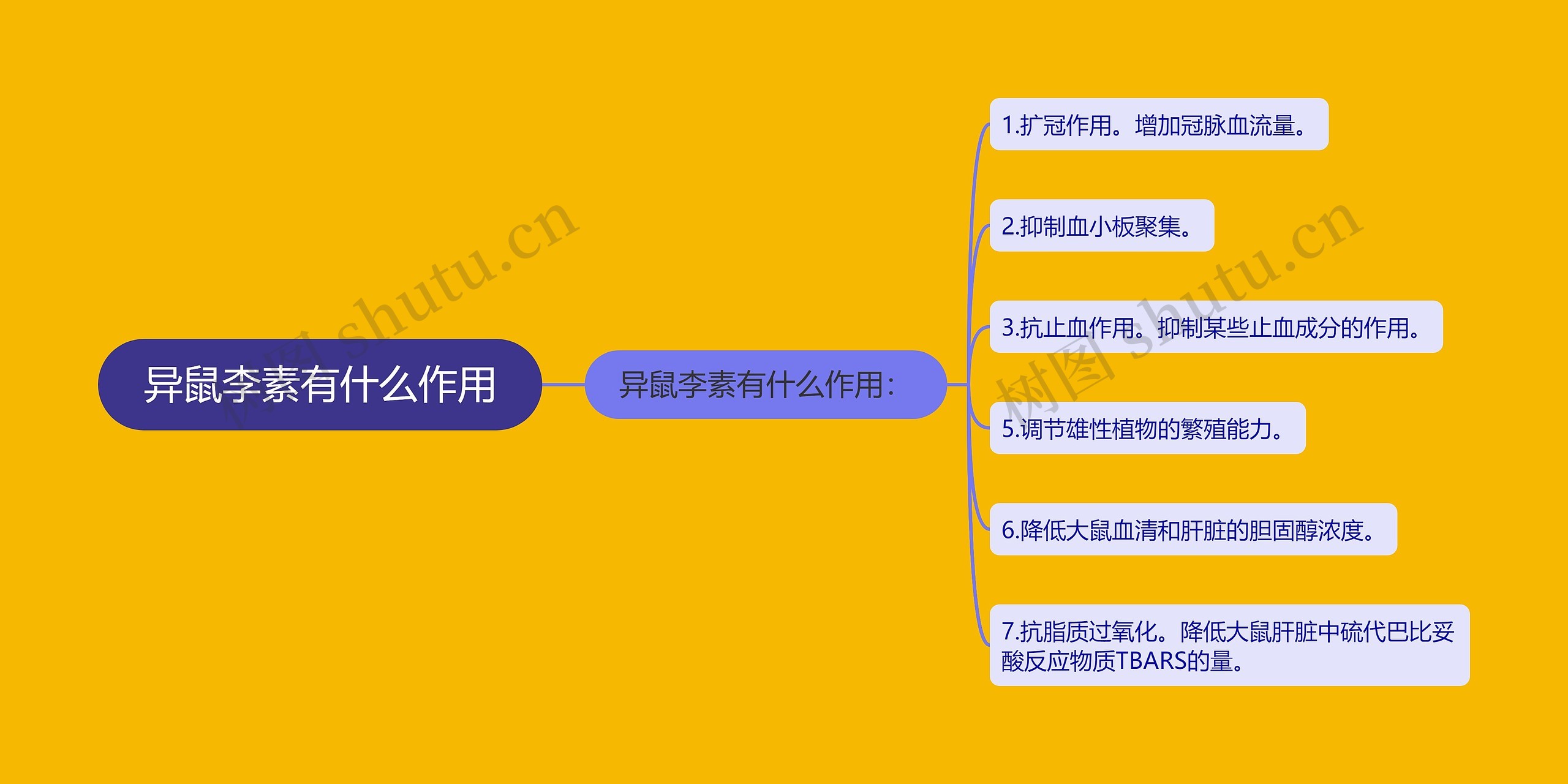 异鼠李素有什么作用思维导图