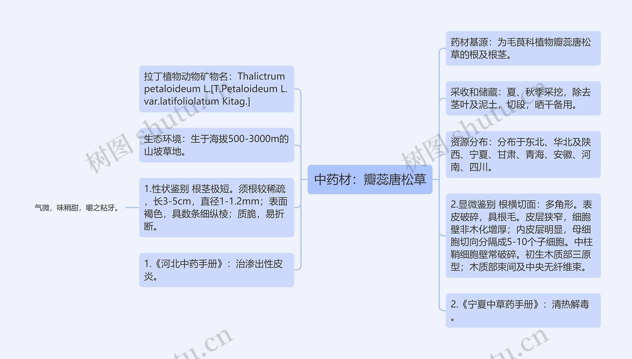 中药材：瓣蕊唐松草思维导图