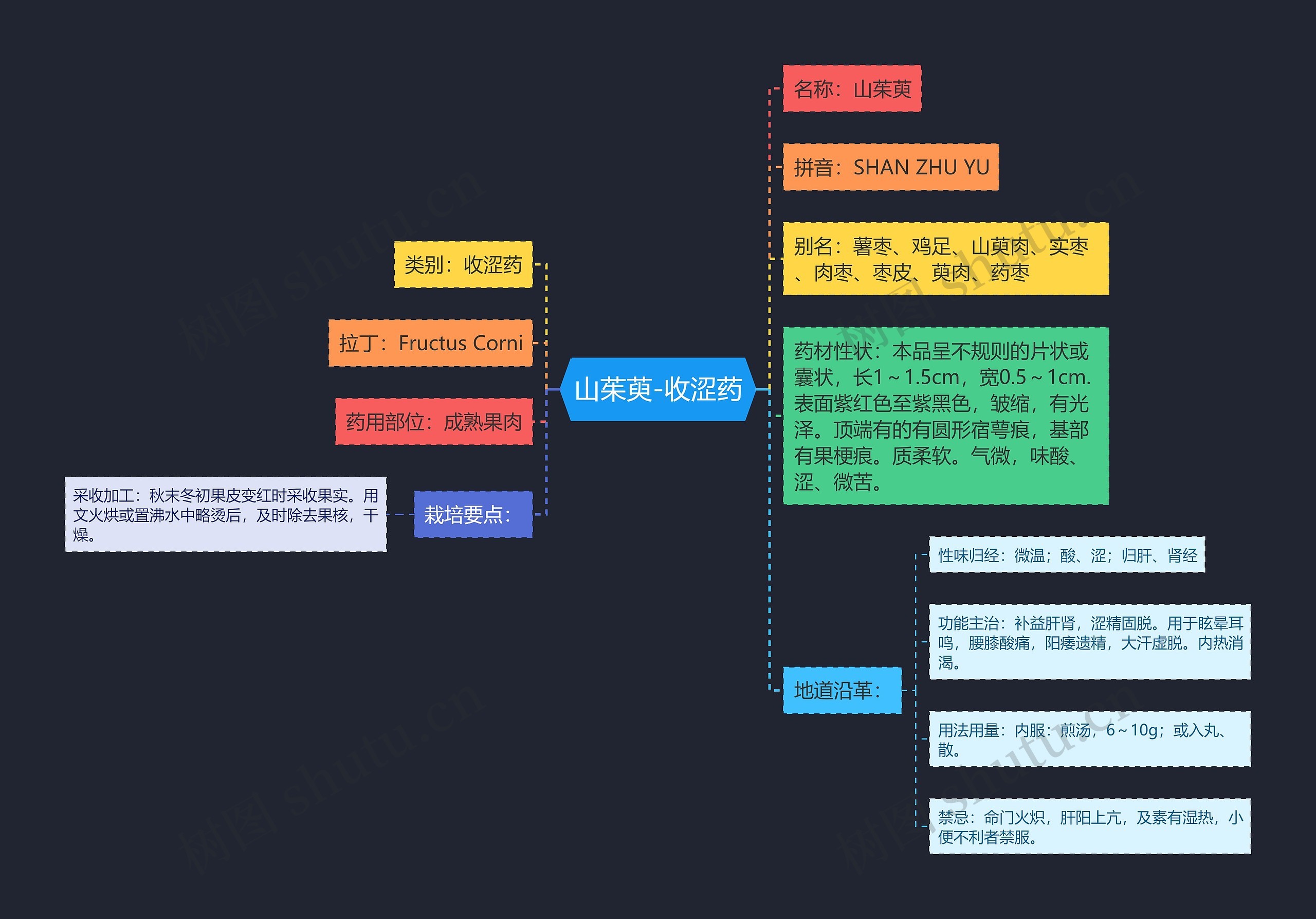 山茱萸-收涩药思维导图