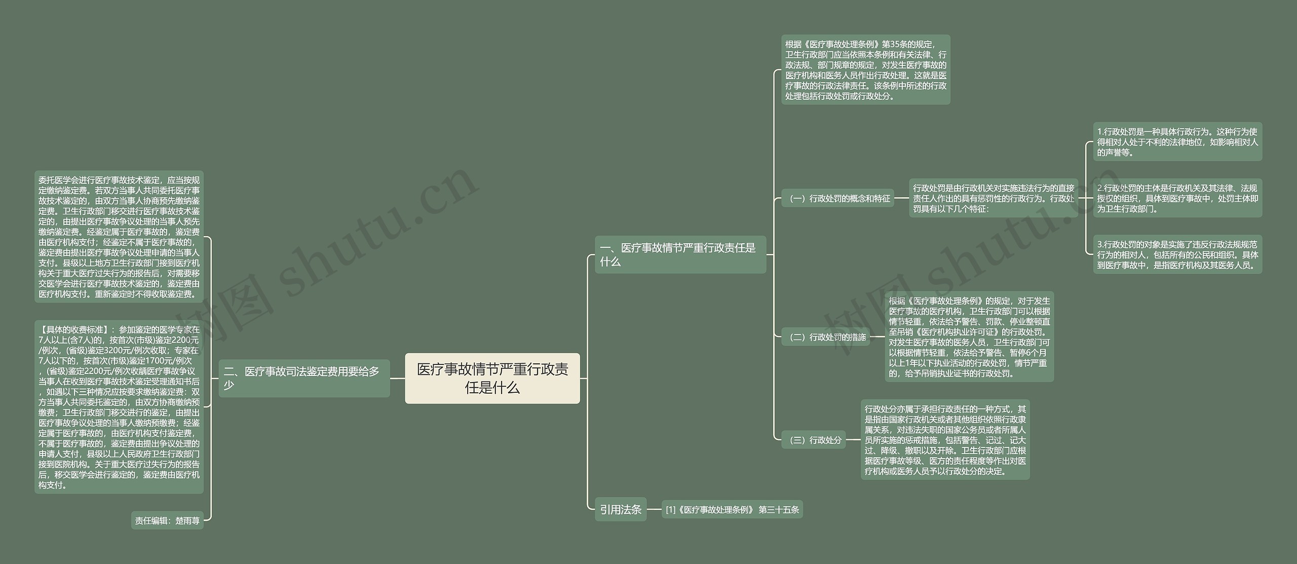 医疗事故情节严重行政责任是什么