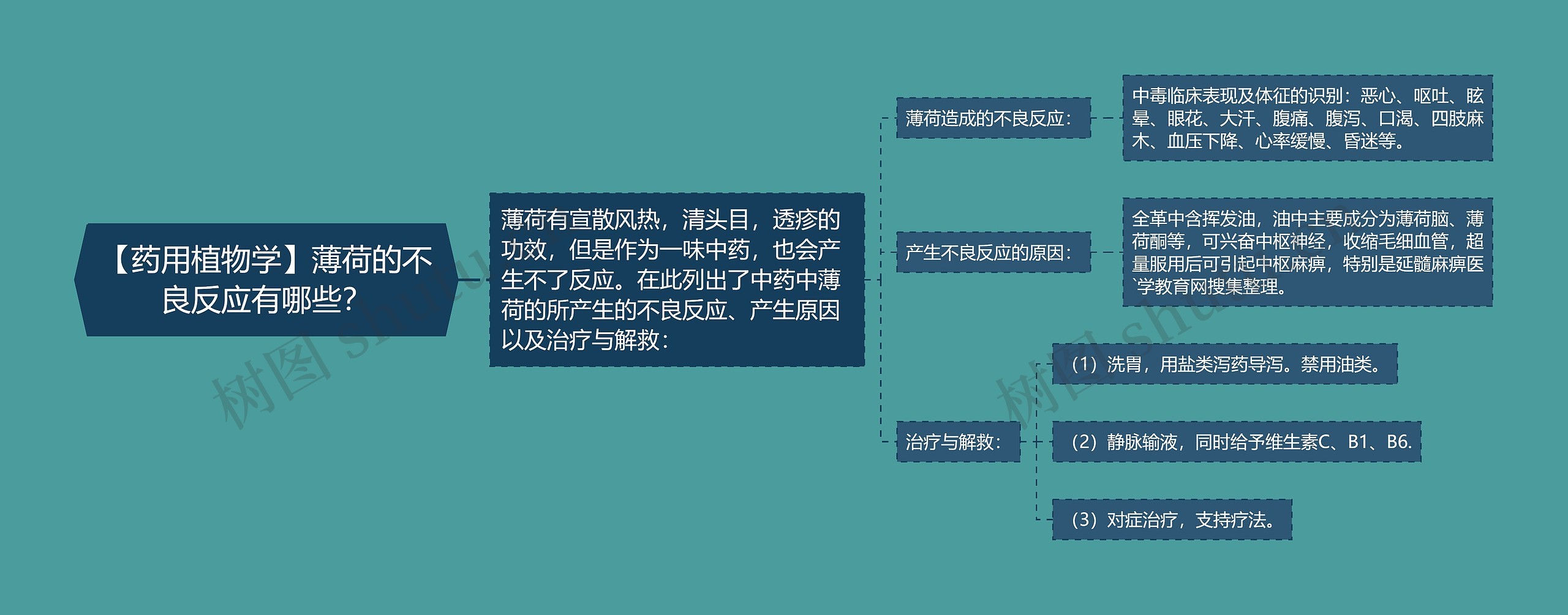 【药用植物学】薄荷的不良反应有哪些？思维导图