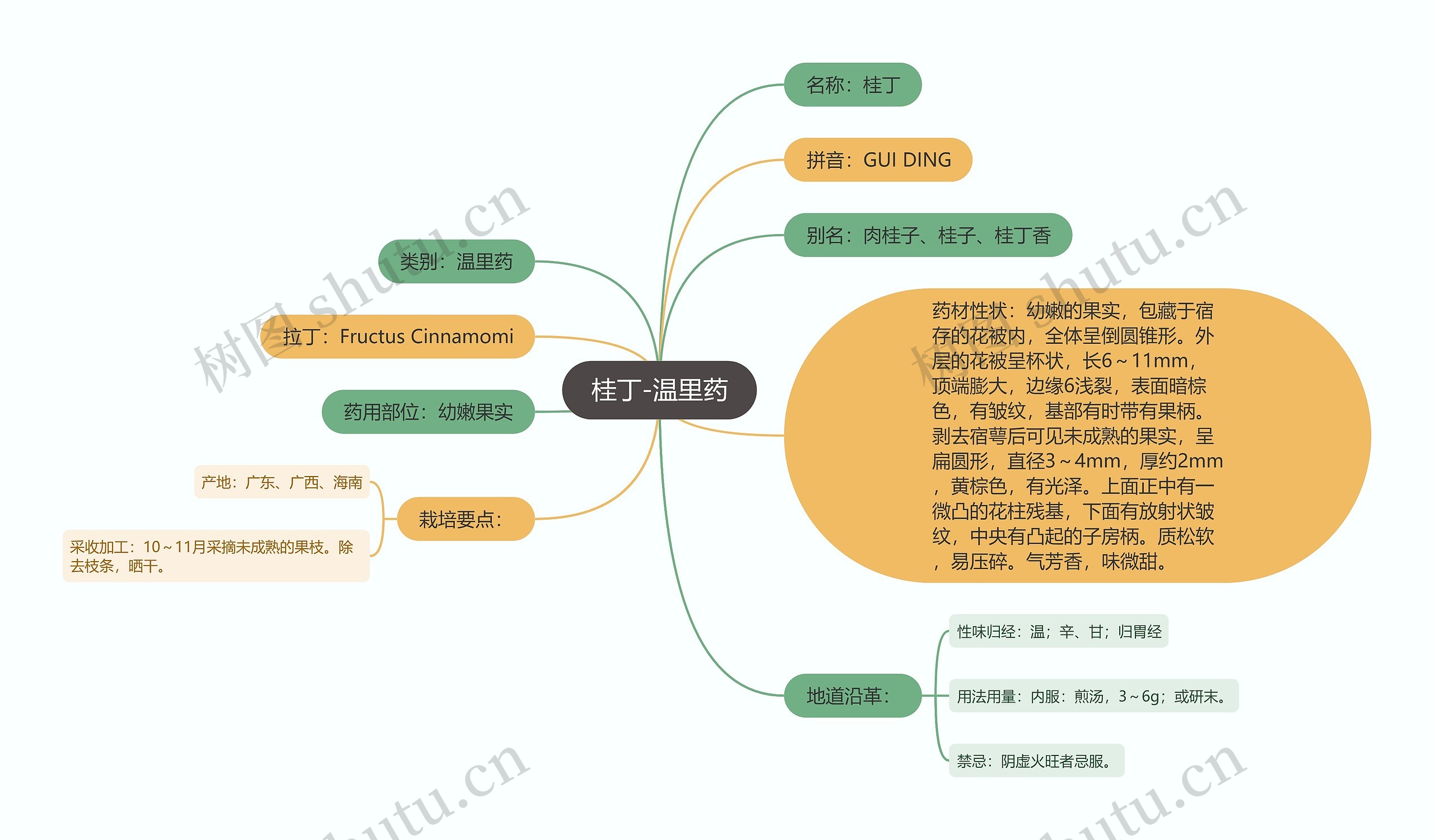 桂丁-温里药思维导图