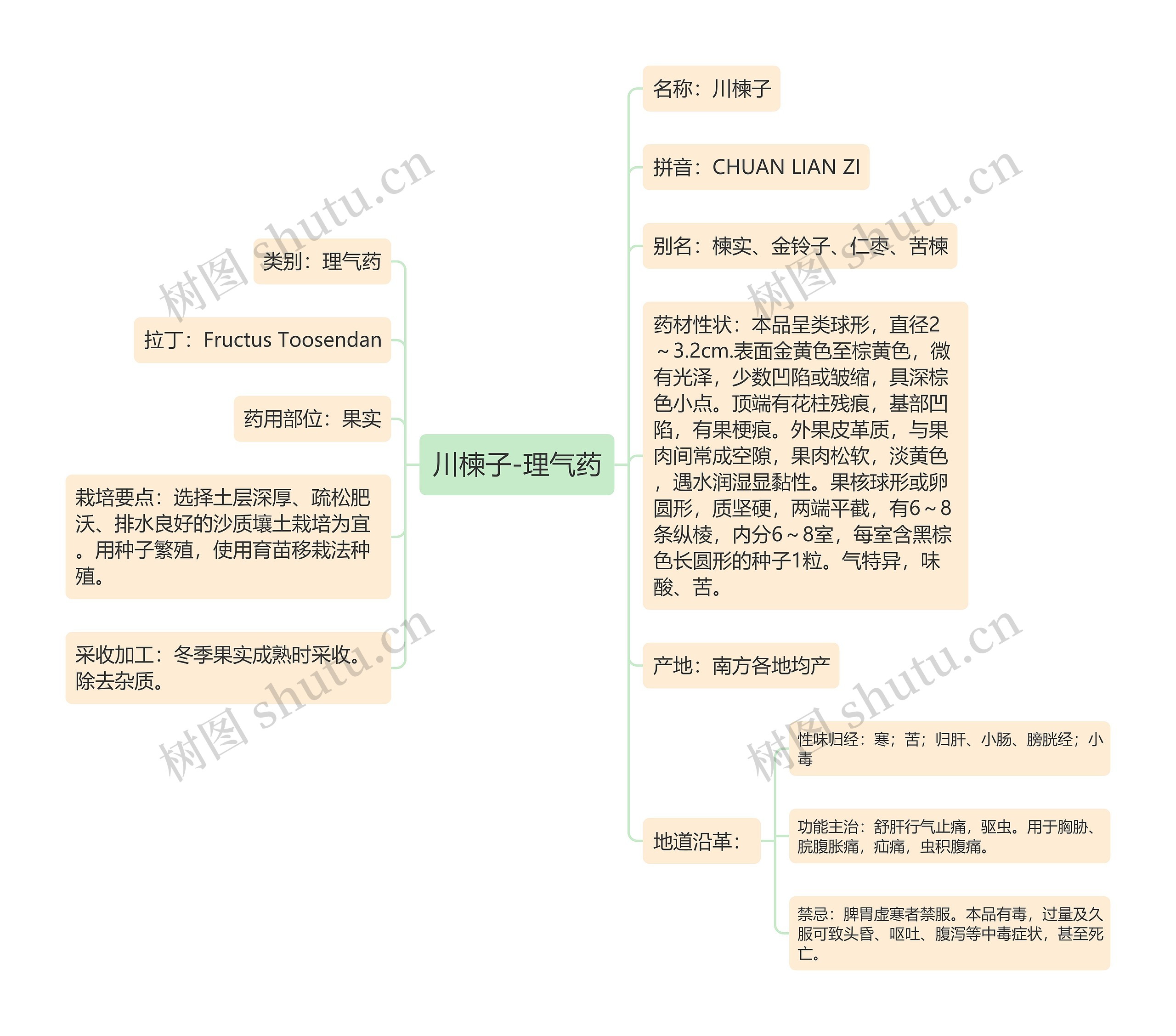 川楝子-理气药思维导图