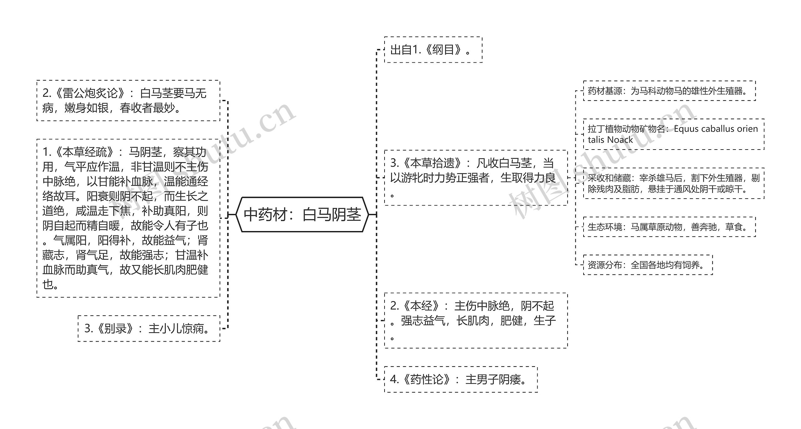 中药材:白马阴茎 中药材:白马阴茎