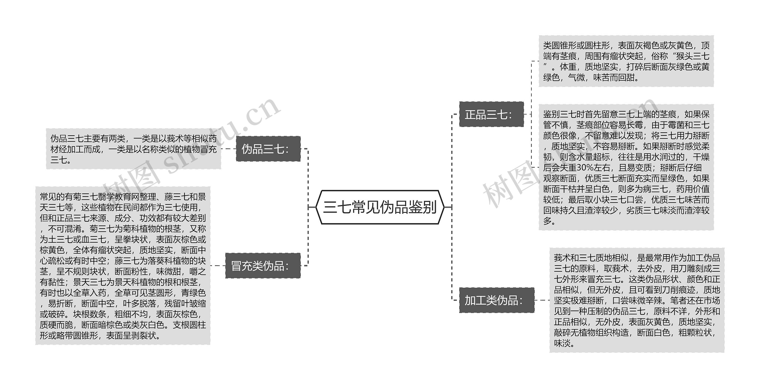 三七常见伪品鉴别思维导图