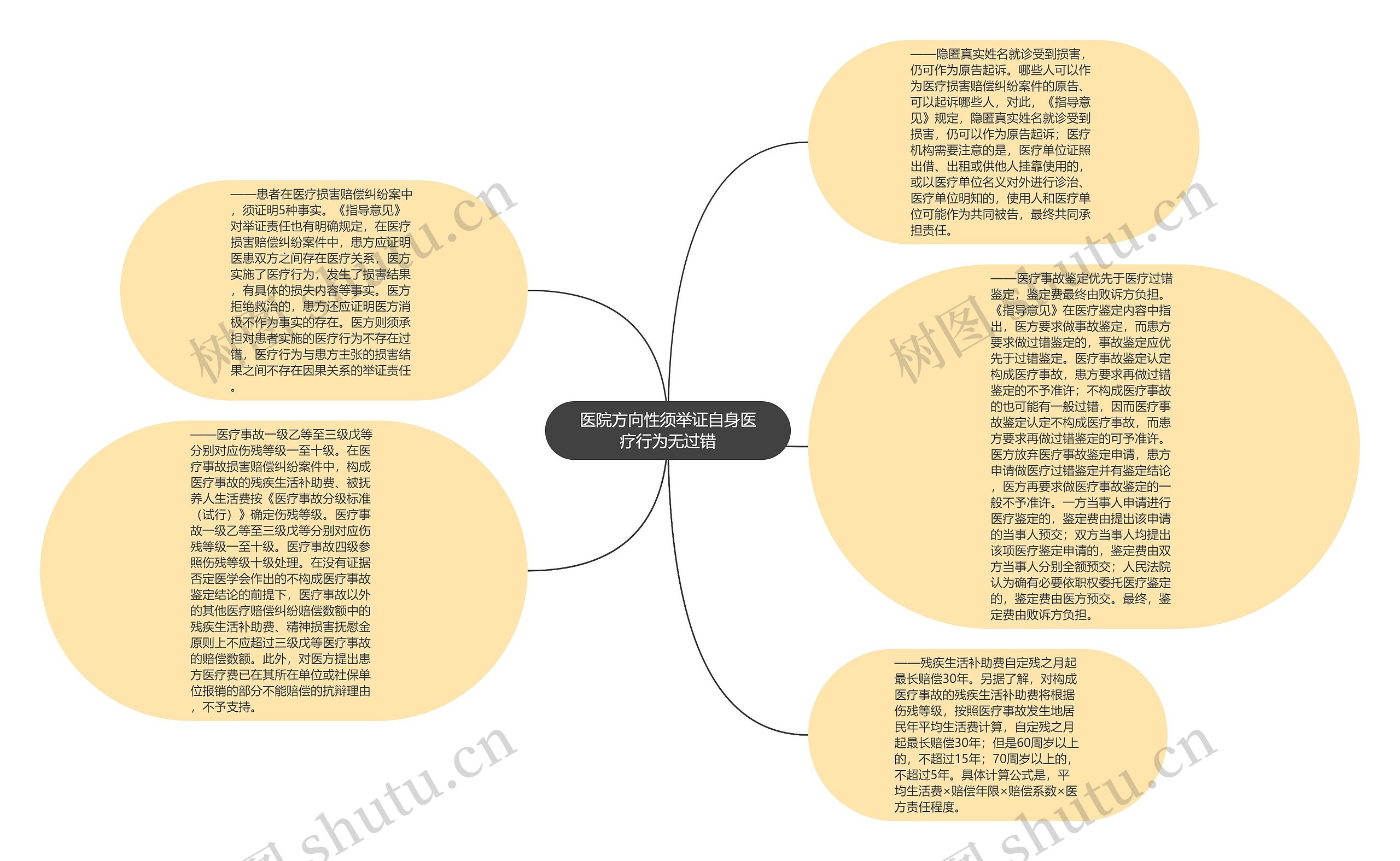 医院方向性须举证自身医疗行为无过错思维导图