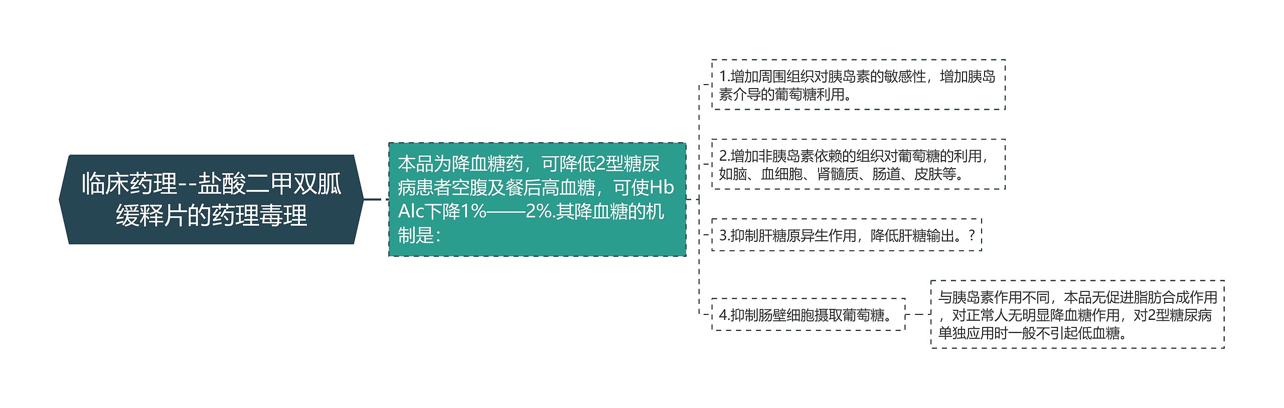 临床药理--盐酸二甲双胍缓释片的药理毒理思维导图