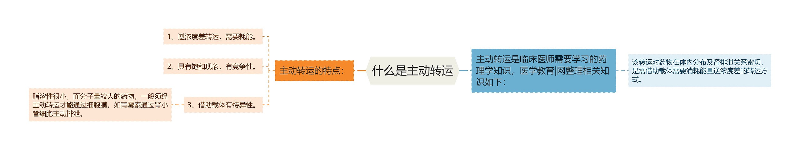 什么是主动转运