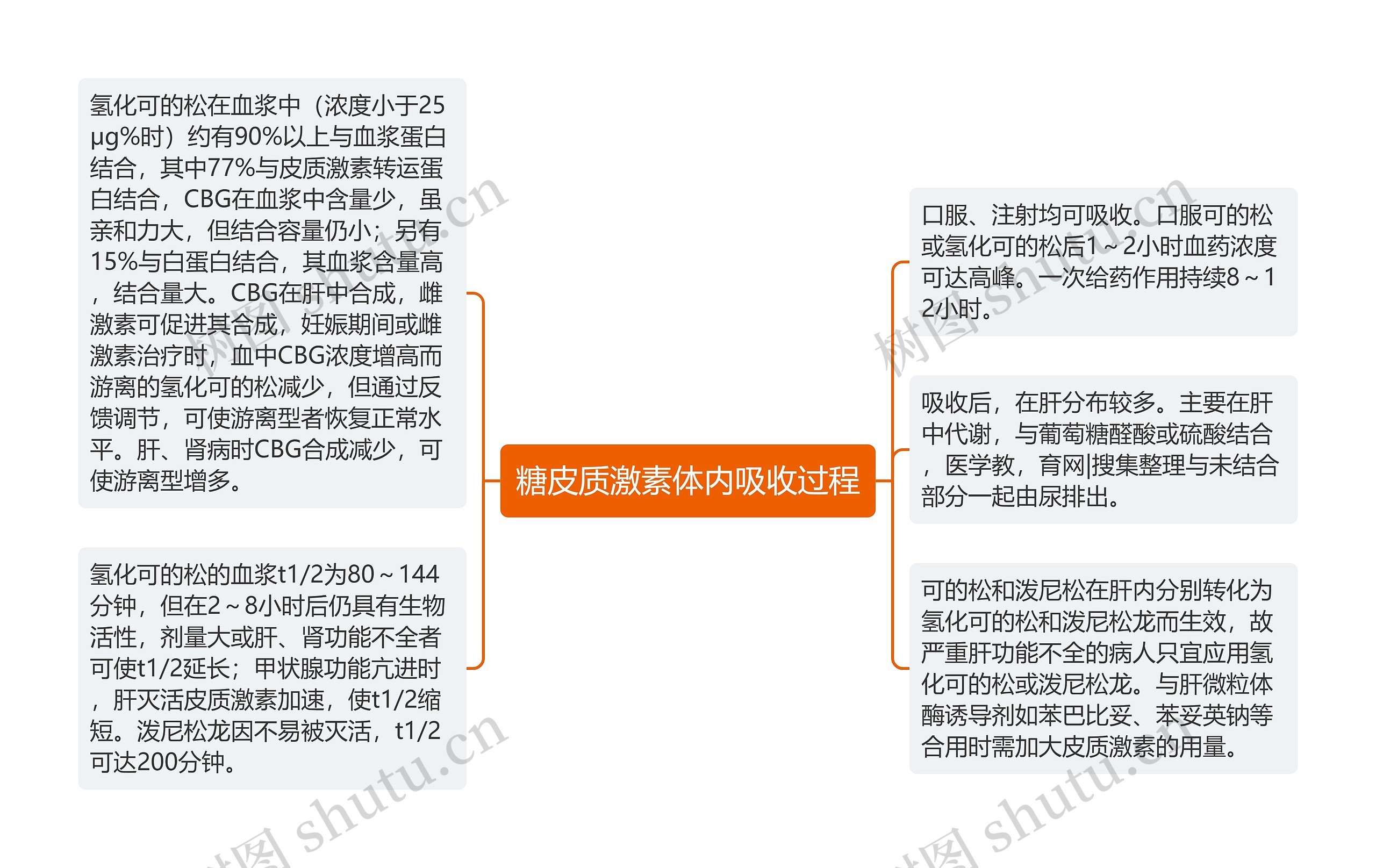 糖皮质激素体内吸收过程