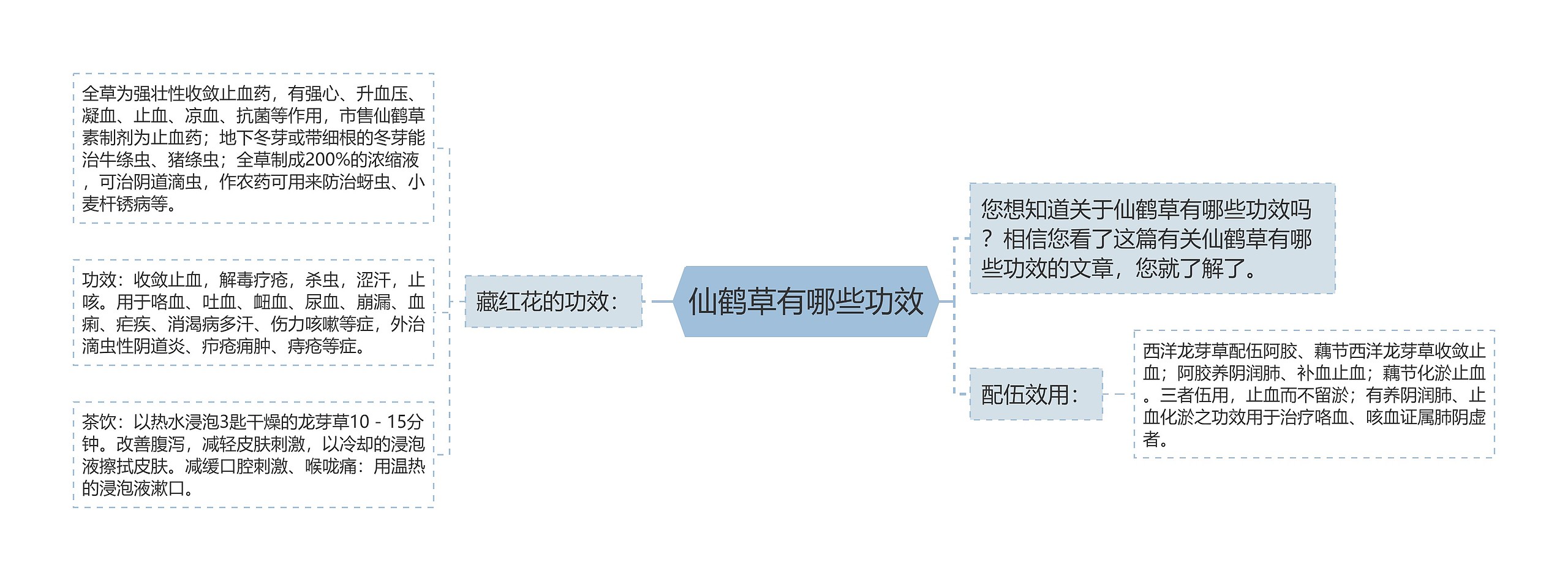 仙鹤草有哪些功效思维导图