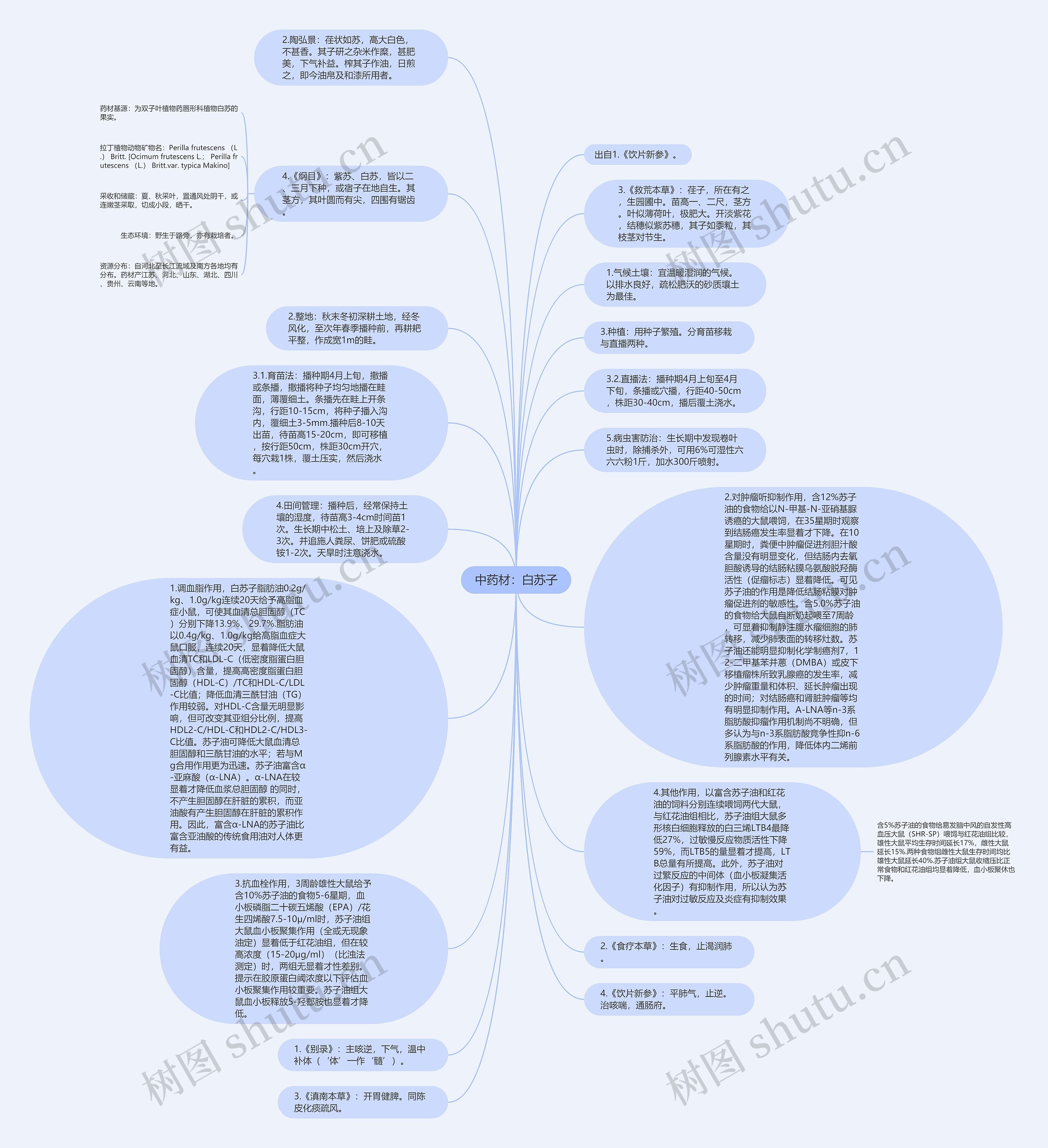 中药材：白苏子思维导图