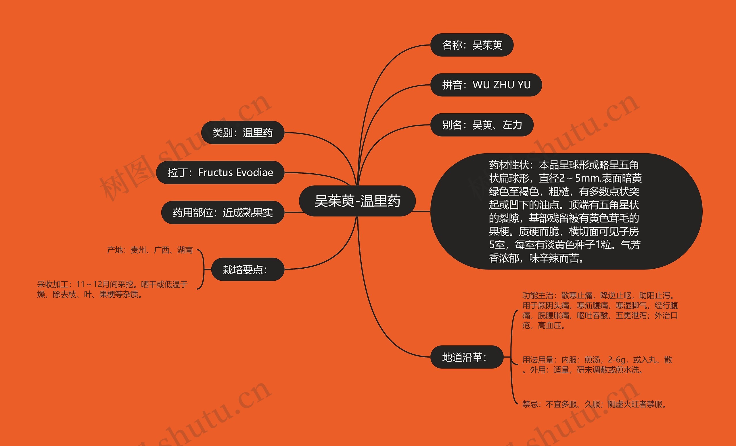 吴茱萸-温里药思维导图