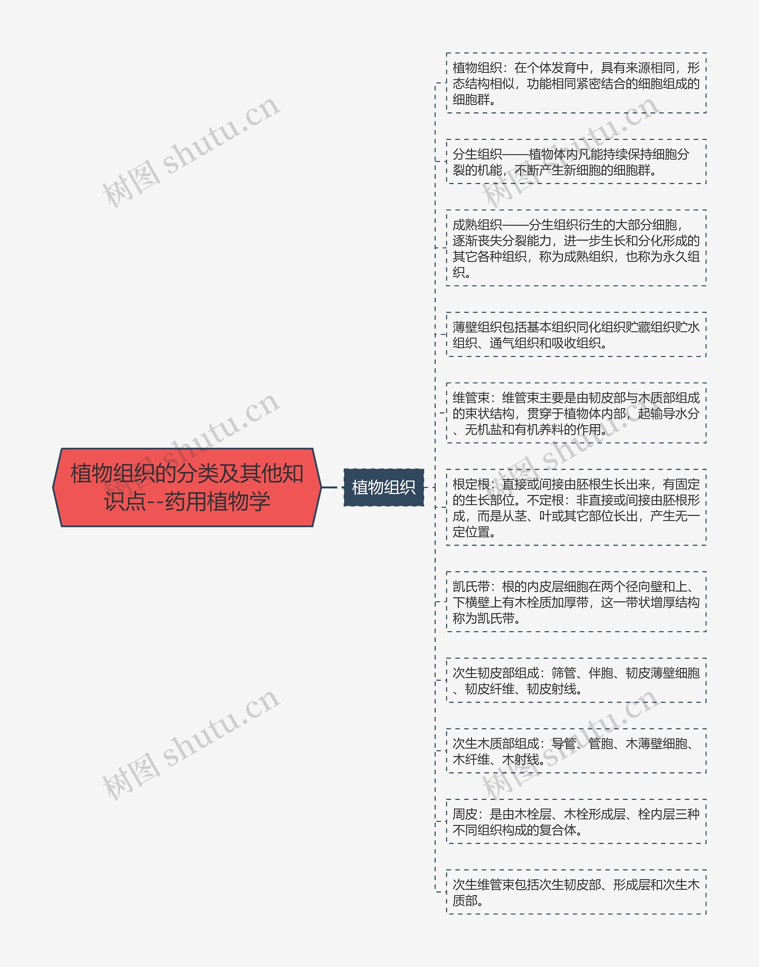 植物组织的分类及其他知识点--药用植物学思维导图
