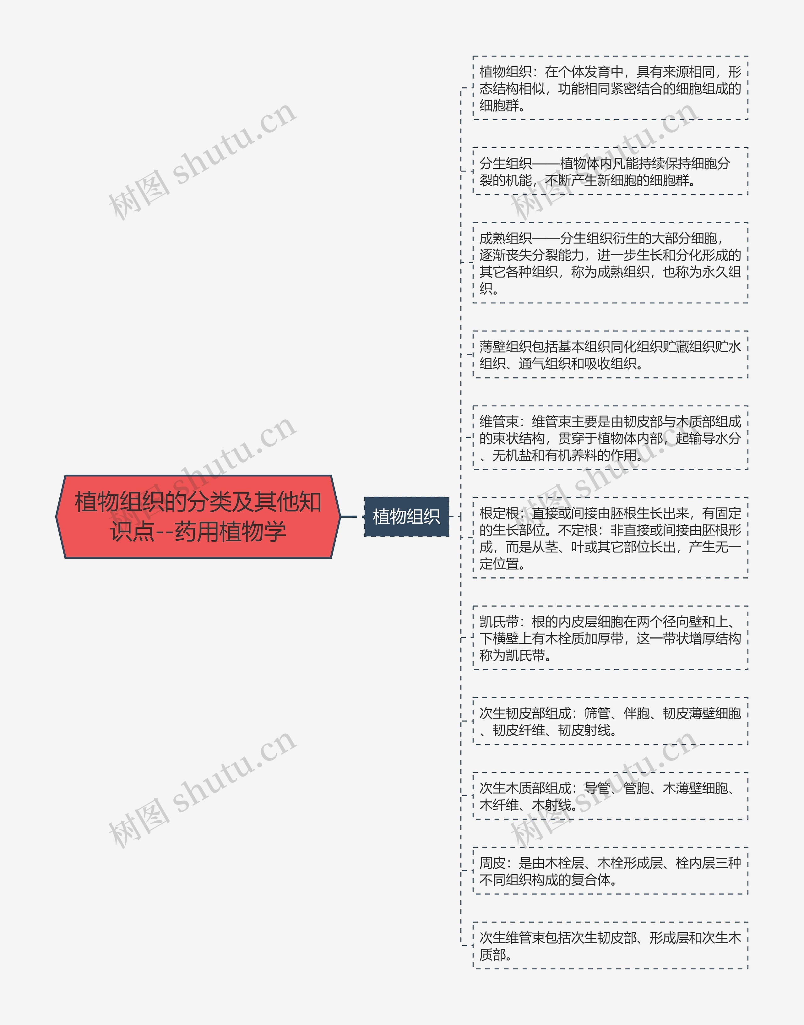 植物组织的分类及其他知识点--药用植物学 植物组织的分类及其他知识点--药用植物学