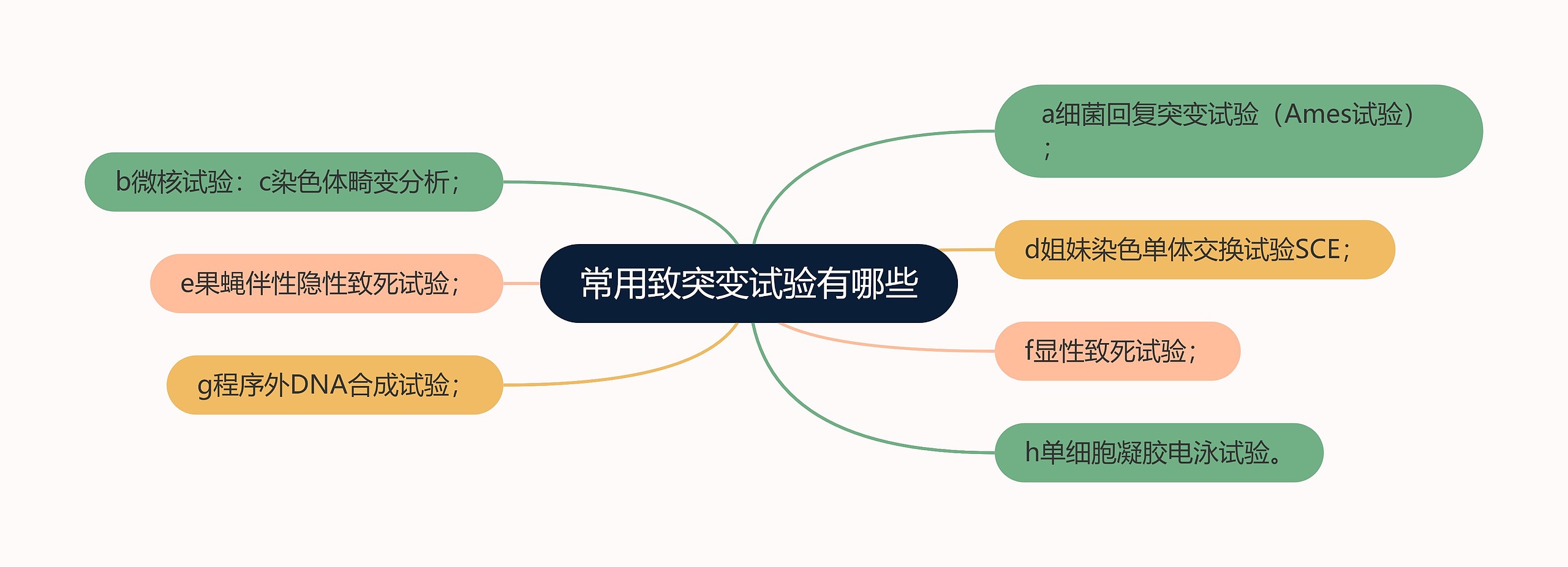 常用致突变试验有哪些思维导图