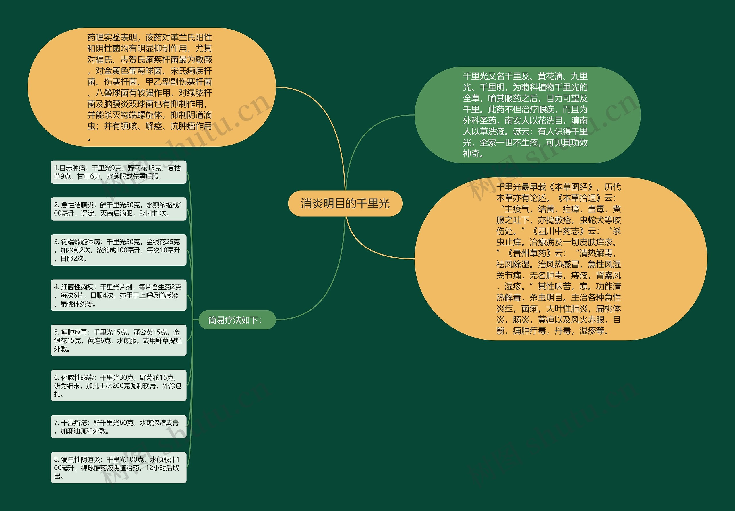 消炎明目的千里光