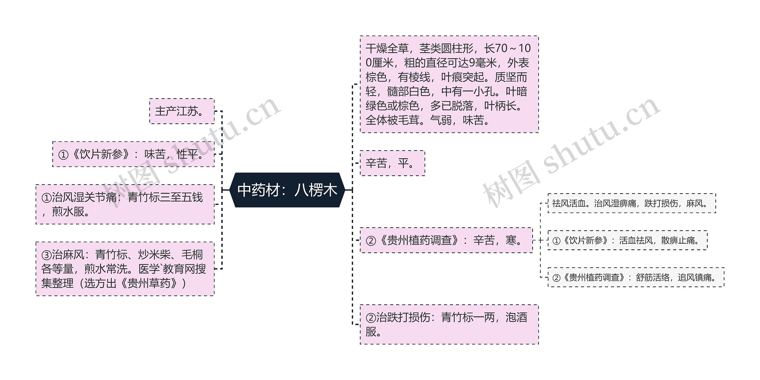 中药材：八楞木思维导图