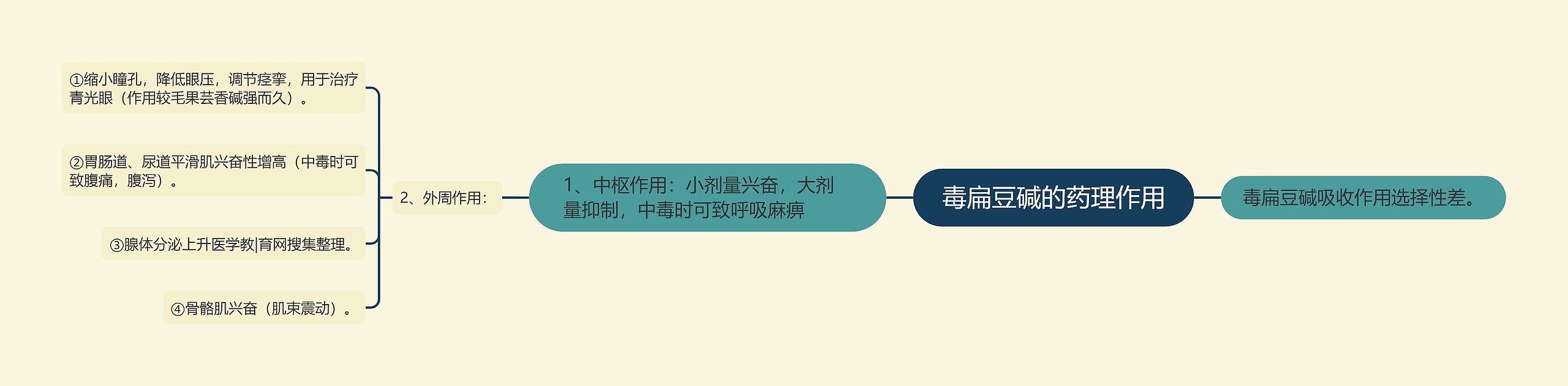 毒扁豆碱的药理作用