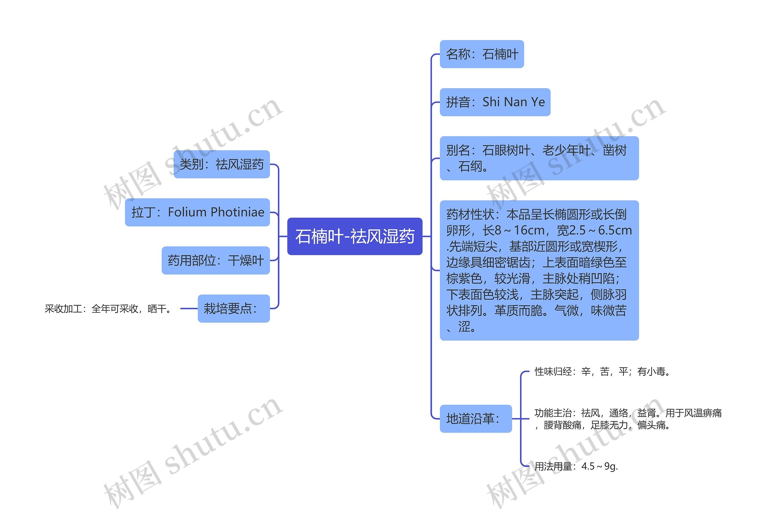 石楠叶-祛风湿药思维导图