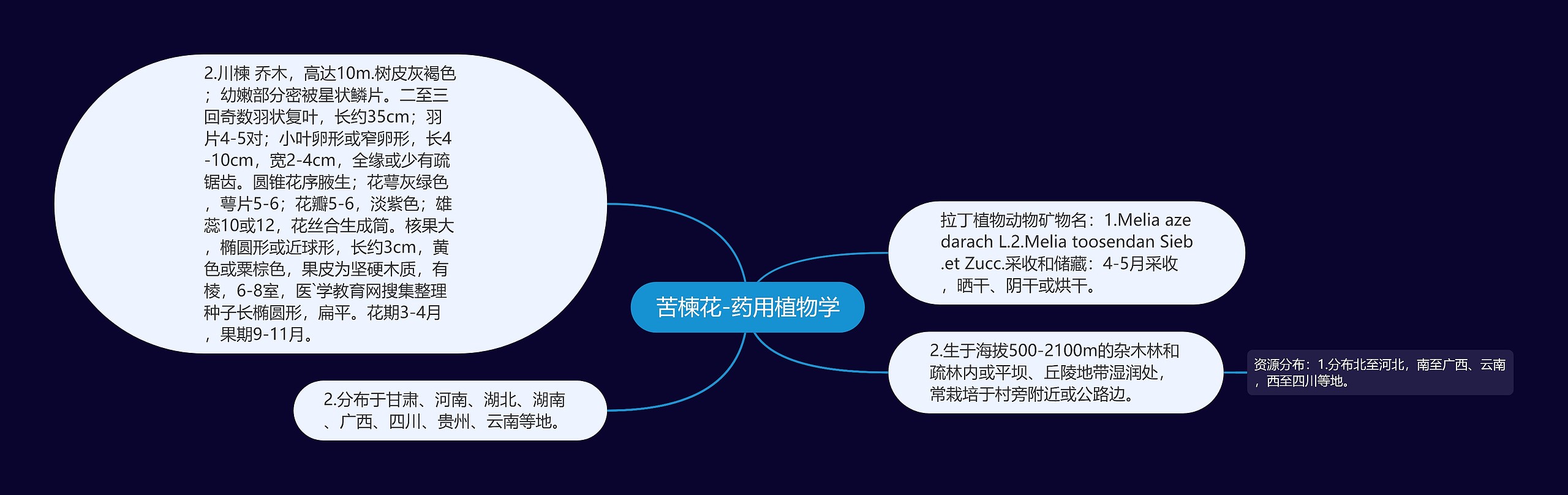 苦楝花-药用植物学 苦楝花-药用植物学