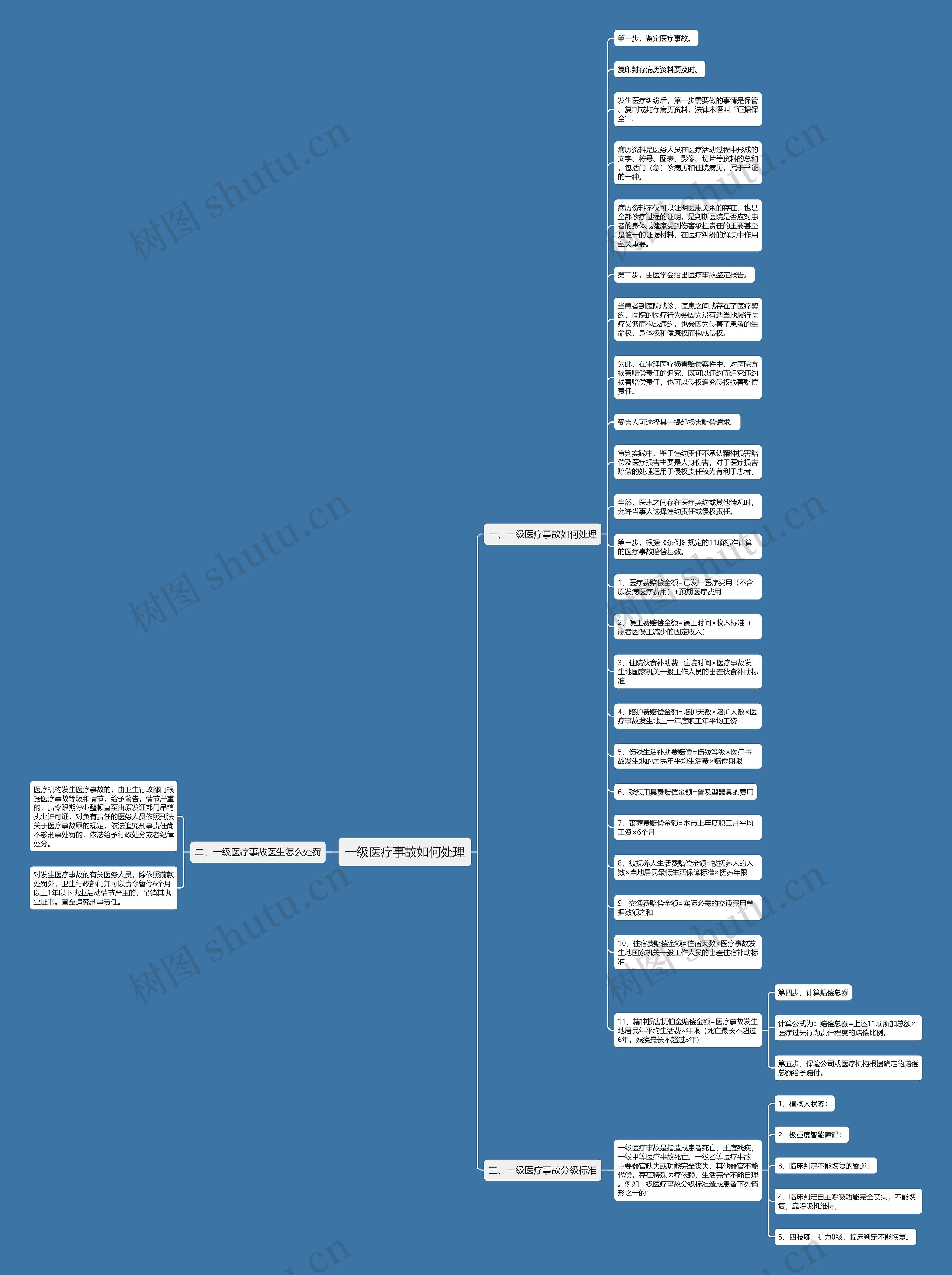 一级医疗事故如何处理思维导图