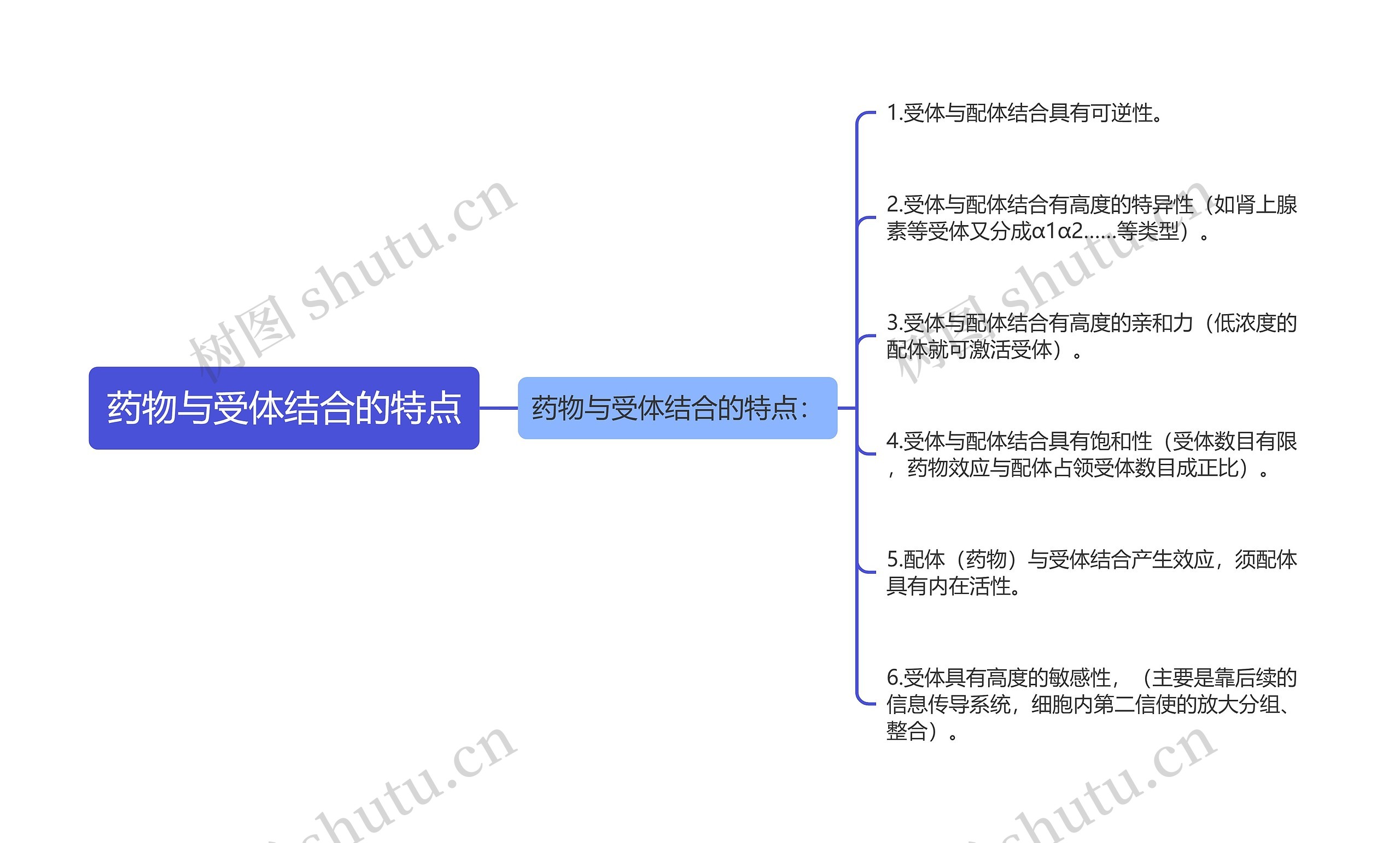 药物与受体结合的特点思维导图